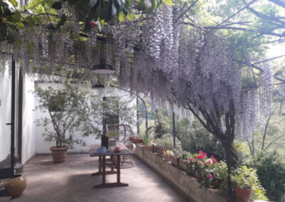 Villa eighteenth century country hills of Lucca