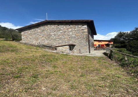 Farmhouse with guesthouse Coreglia Lucca
