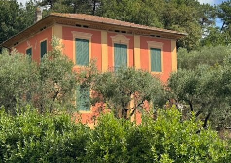 Charming Liberty villa near Lucca