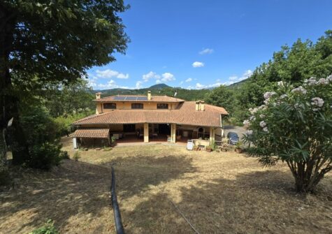 Villa with pool near lucca