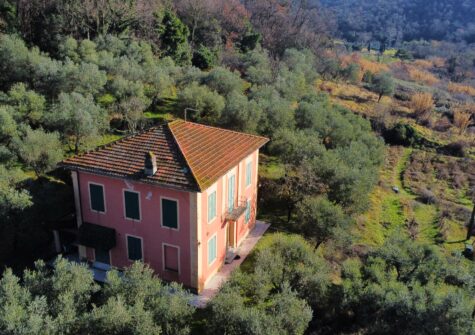 Charming Liberty villa near Lucca