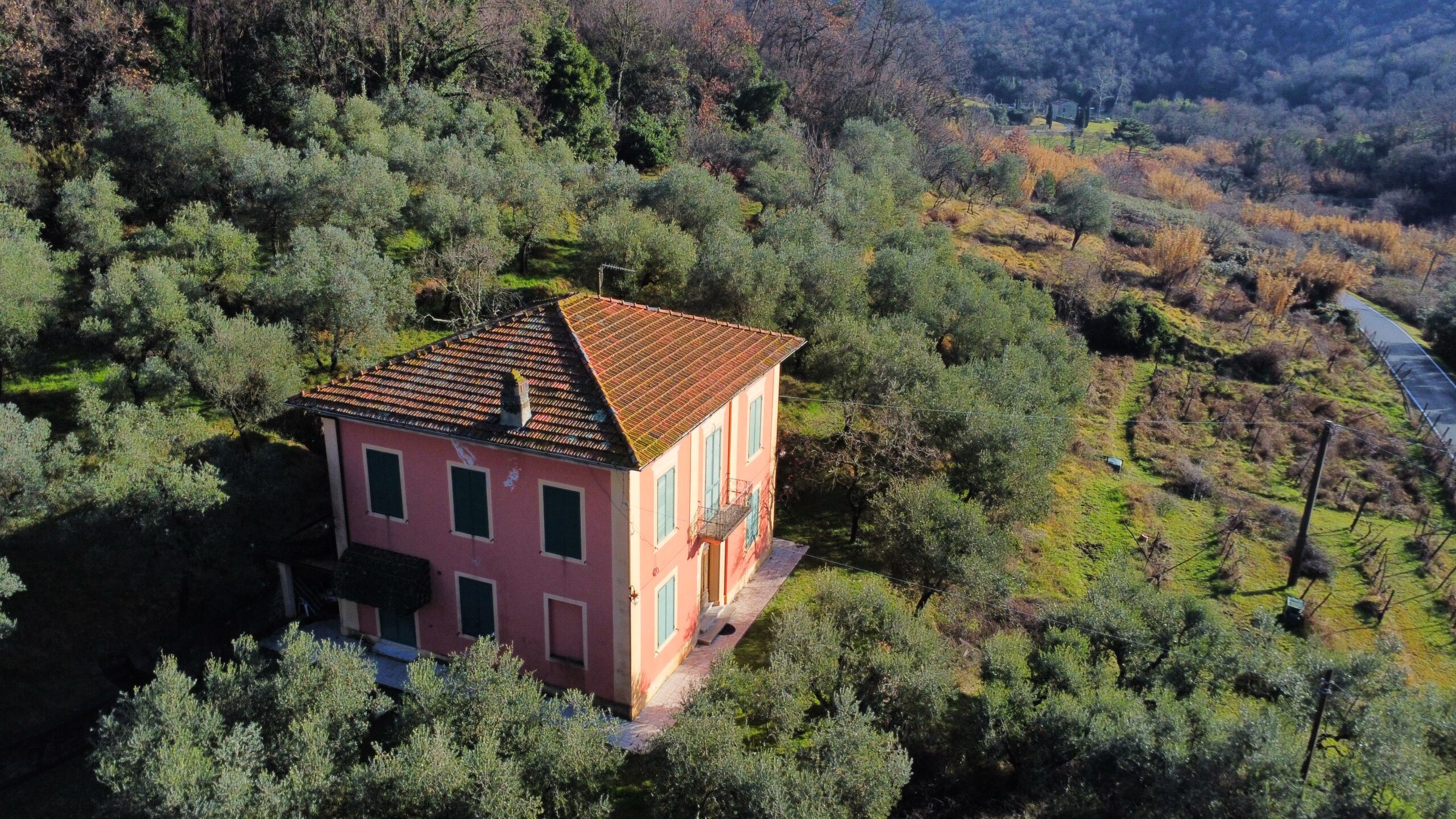 Charming Liberty villa near Lucca