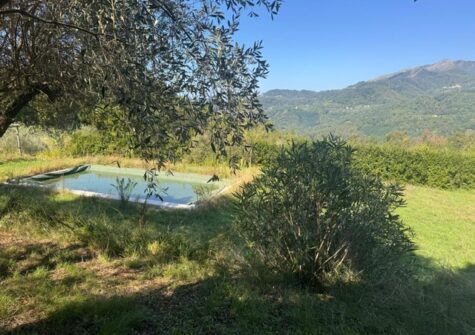 Authentic 15 century farmhouse in the Lucca hills