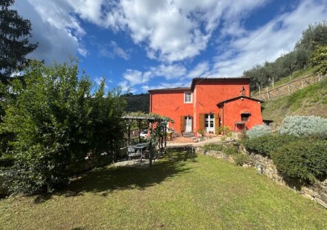 Farmhouse with olivegroves and garden 15 minutes from sea
