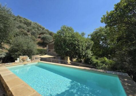 Farmhouse with pool and olive grove Massarosa