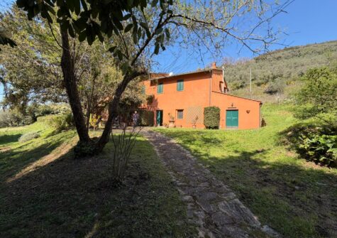 Beautiful farmhouse with guesthouse and sea view and olive grove