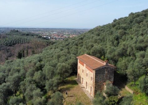 Stone farmhouse with guesthouse and olive grove camaiore