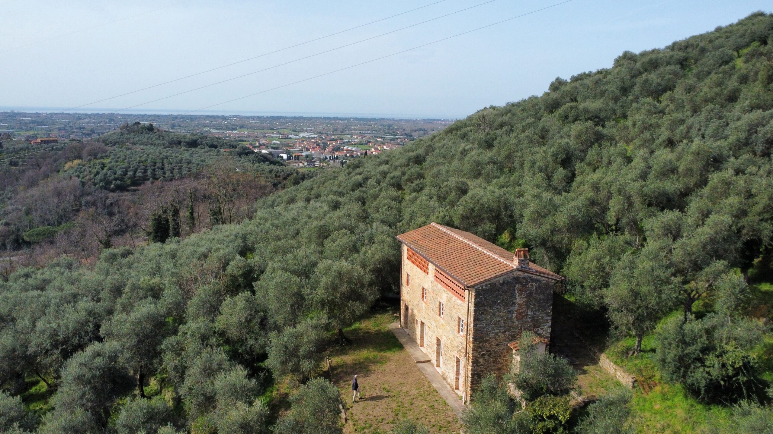 Stone farmhouse with guesthouse and olive grove camaiore