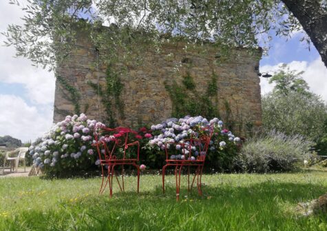 Stone farmhouse with pool in sunny Tuscan setting