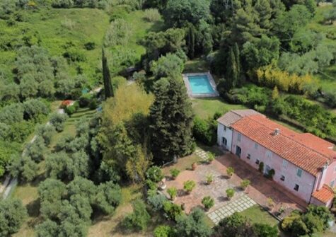 Stunning Tuscan Farmhouse  with Pool, Privacy & 85 Olive Trees – Hills of Capannori, Lucca 🇮🇹✨