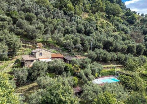 Charming Restored Stone Farmhouse with Pool & Olive Grove in the Hills of Bagni di Lucca, Tuscany 🇮🇹