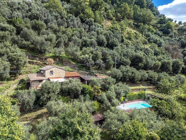 Stone farmhouse with pool & olive grove hills of Bagni di Lucca