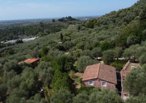 PROVENÇAL\-STYLE FARMHOUSE IN TUSCANY — SEA VIEWS & POOL