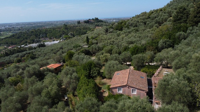 PROVENÇAL\-STYLE FARMHOUSE IN TUSCANY — SEA VIEWS & POOL