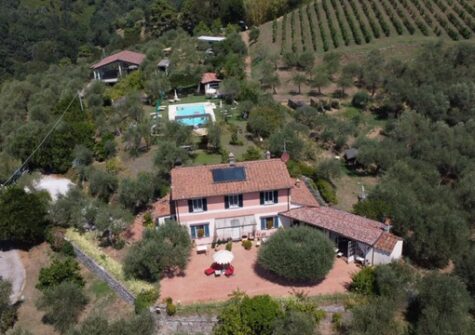 EXCLUSIVE TUSCAN ESTATE WITH SEA VIEWS, PRIVATE VILLA, POOL, OLIVE GROVE & VINEYARD