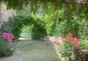 Huis,Te koop,1332