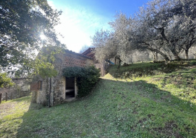 Huis,Te koop,1332